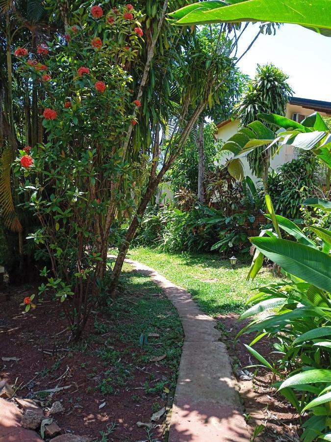 Хостел Garden Stone Пуерто-Іґуасу Екстер'єр фото